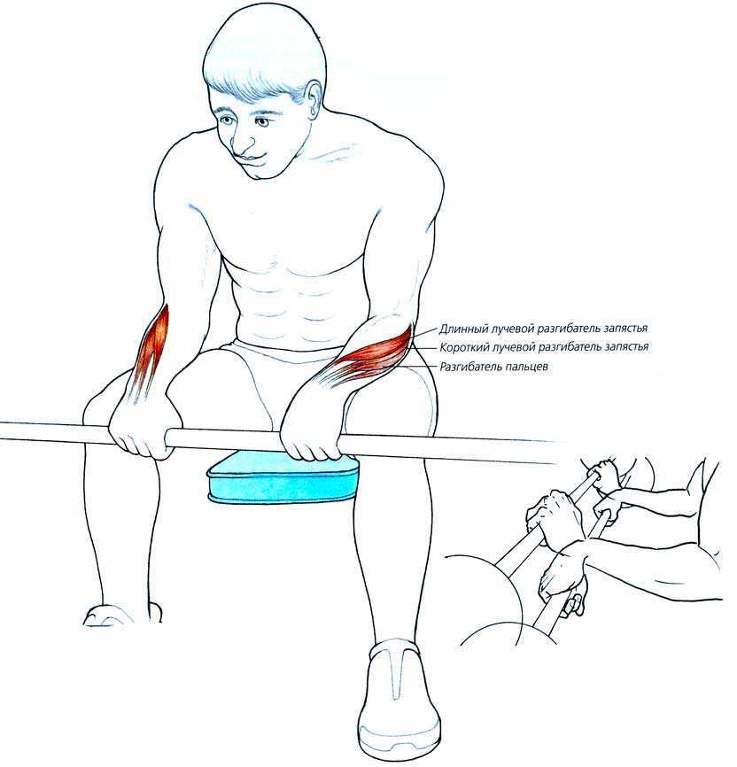Сгибание рук со штангой: варианты и техника выполнения упражнения стоя, сидя и на скамье скотта