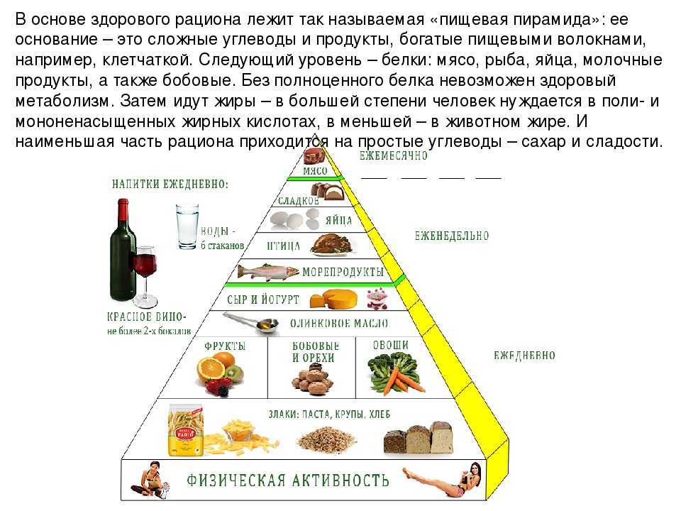 Что из себя представляет пищевая пирамида правильно питания человека Ее основа и степени, разнообразие пищевой пирамиды