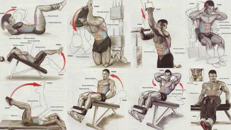Упражнения по группам мышц