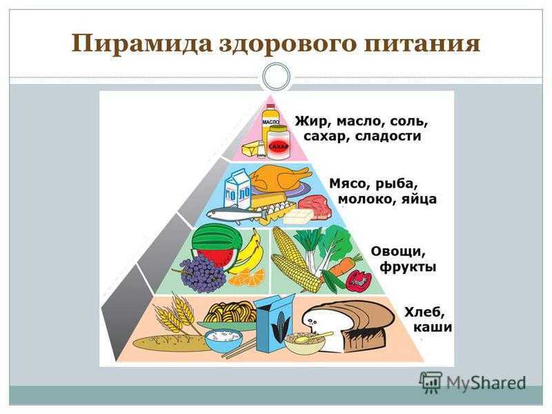 Пирамида питания: основы, правила и уровни