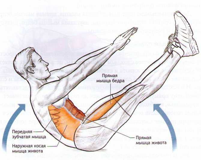 Массажный валик: упражнения для ног и спины