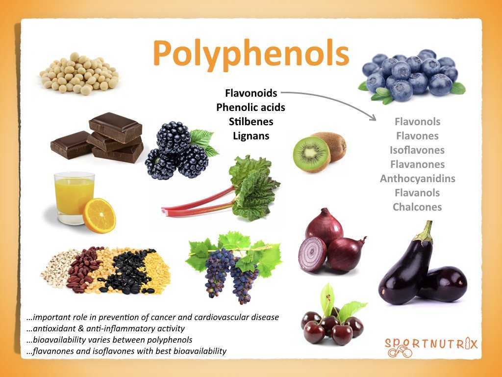 Что такое полифенолы и зачем они нам нужны, как действуют эти вещества Обзор источников в продуктах, а также добавок Побочные действия