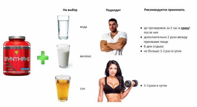 Виды протеина в спортивном питании: какие бывают и чем отличаются?