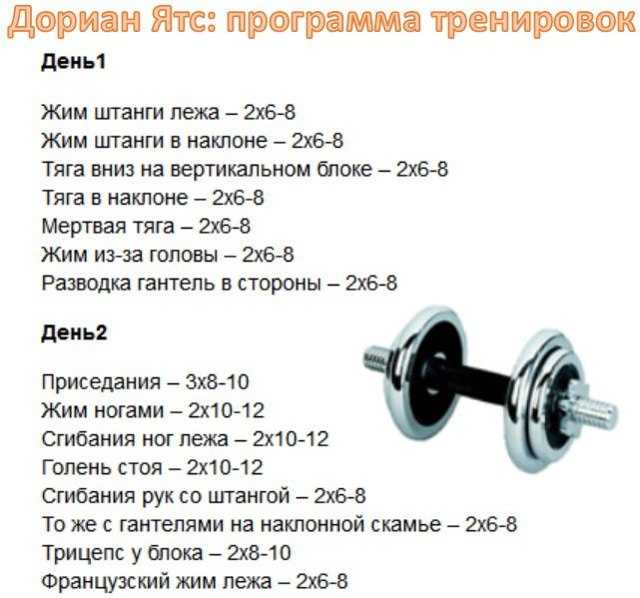 Программа тренировок в тренажерном зале для мужчин: 2 или 3 дня в неделю