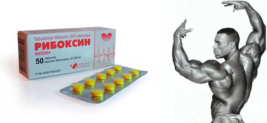 Рибоксин: инструкция по применению при лечении, в бодибилдинге и спорте