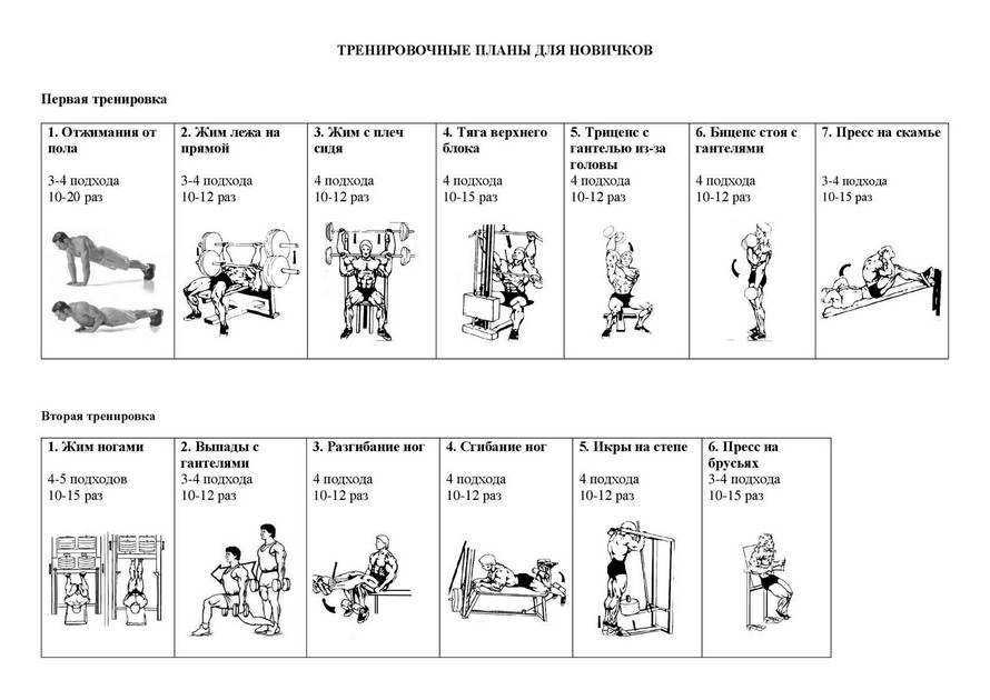 Программа тренировок в тренажерном зале для мужчин: комплекс упражнений на 2 или 3 дня в неделю