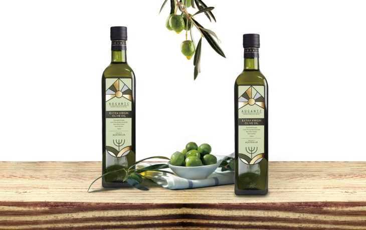 Оливковое масло – состав, польза и вред для здоровья человека