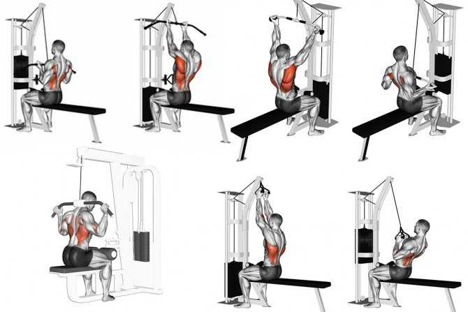 Упражнения на спину в тренажерном зале-комплекс для укрепления позвоночника
