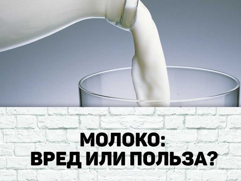 Помогают ли молочные продукты худеть - parents.ru