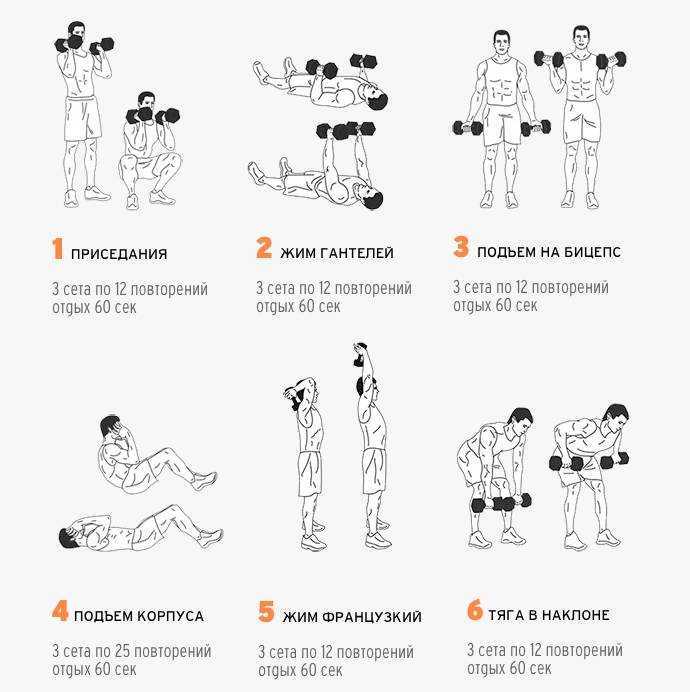 Упражнения с гантелями в домашних условиях для мужчин и женщин: курс базовых упражнений на все группы мышц (100 фото инструкций)