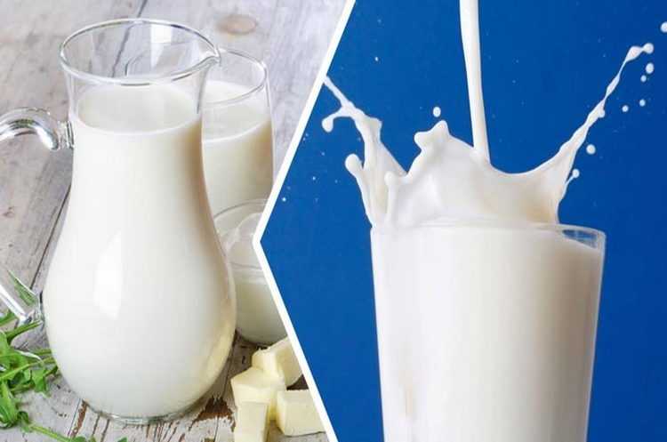 Правда ли, что от молочки “заливает” и можно пополнеть?