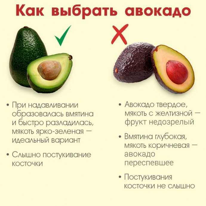 Топ 10 рецептов (308 ккал) с авокадо для похудения вкусные диетические низкокалорийные блюда с бжу