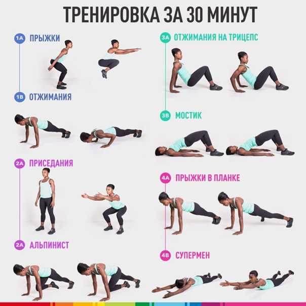 Упражнения для развития и укрепления мышц рук без гантелей | rulebody.ru — правила тела