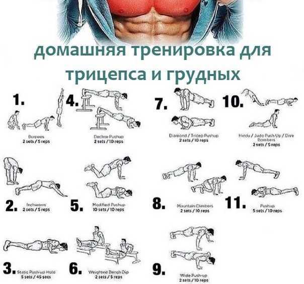 За сколько можно накачать грудные мышцы: эффективные упражнения, техника выполнения, фото - tony.ru