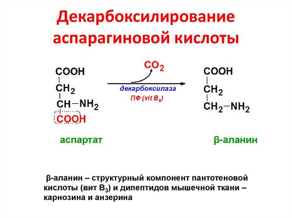 Гиалуроновая кислота: формула, состав, свойства, влияние на организм и применение