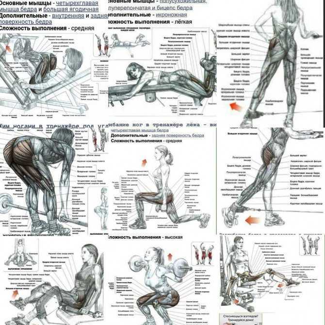 Как накачать шею: комплекс эффективных упражнений - tony.ru