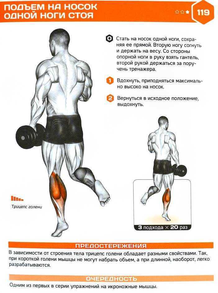 Комплекс упражнений на тренировку косых мышц живота | rulebody.ru — правила тела