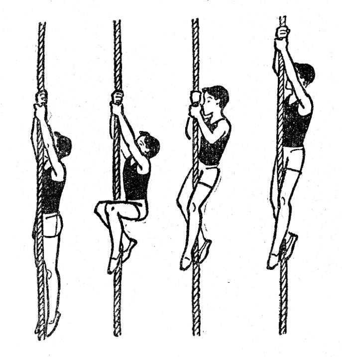Конспект урока по теме гимнастика "лазанье по канату без помощи ног до 4 метров" 6класс