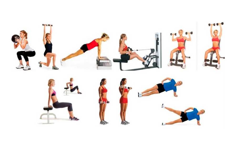 Особенности круговых тренировок в тренажерном зале для женщин Примеры связок для программы активного жиросжигания Похудение и тонус мышц