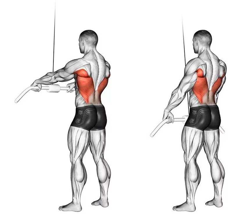 Как накачать широкую спину в тренажерном зале: лучшие упражнения для быстрого роста мышц (фото, схемы)