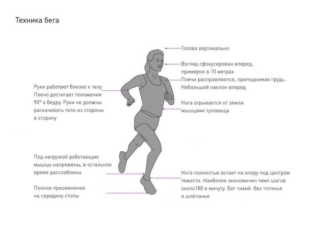 Рассматриваем 17 видов бега Профессиональные разновидности и любительские варианты для самостоятельных тренировок Бег как вид спорта и оздоровительный