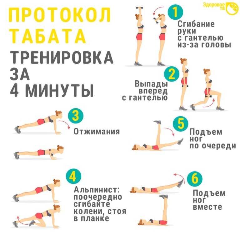 Протокол табата: упражнения для похудения :: syl.ru