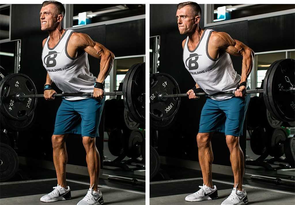 Тяга штанги в наклоне — как делать правильно? какие мышцы работают?