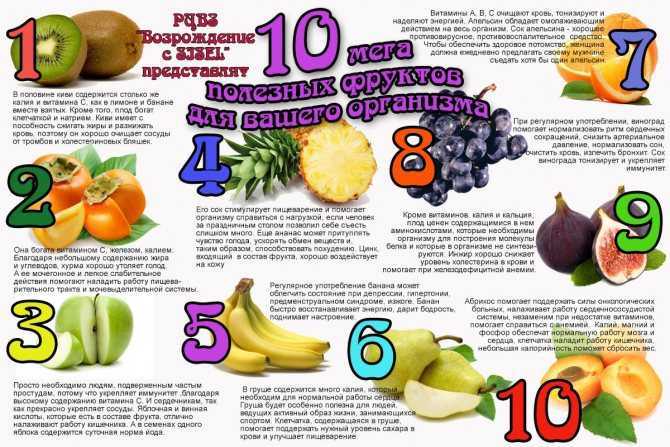 20 самых полезных фруктов для организма человека