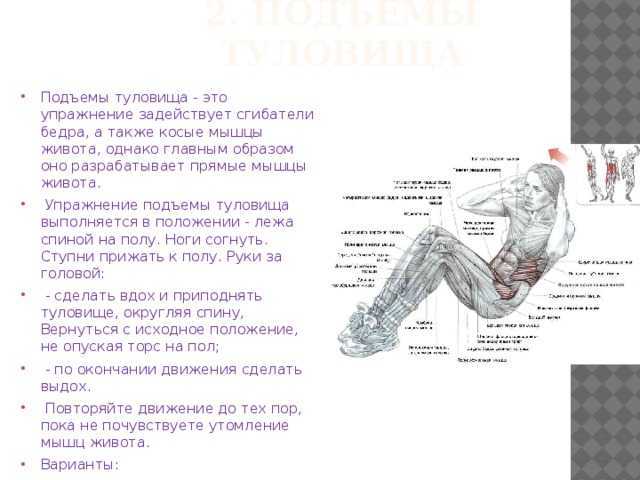 Роль разминки для работоспособности при болях в спине. вращение корпуса стоя: комплекс из двух упражнений
