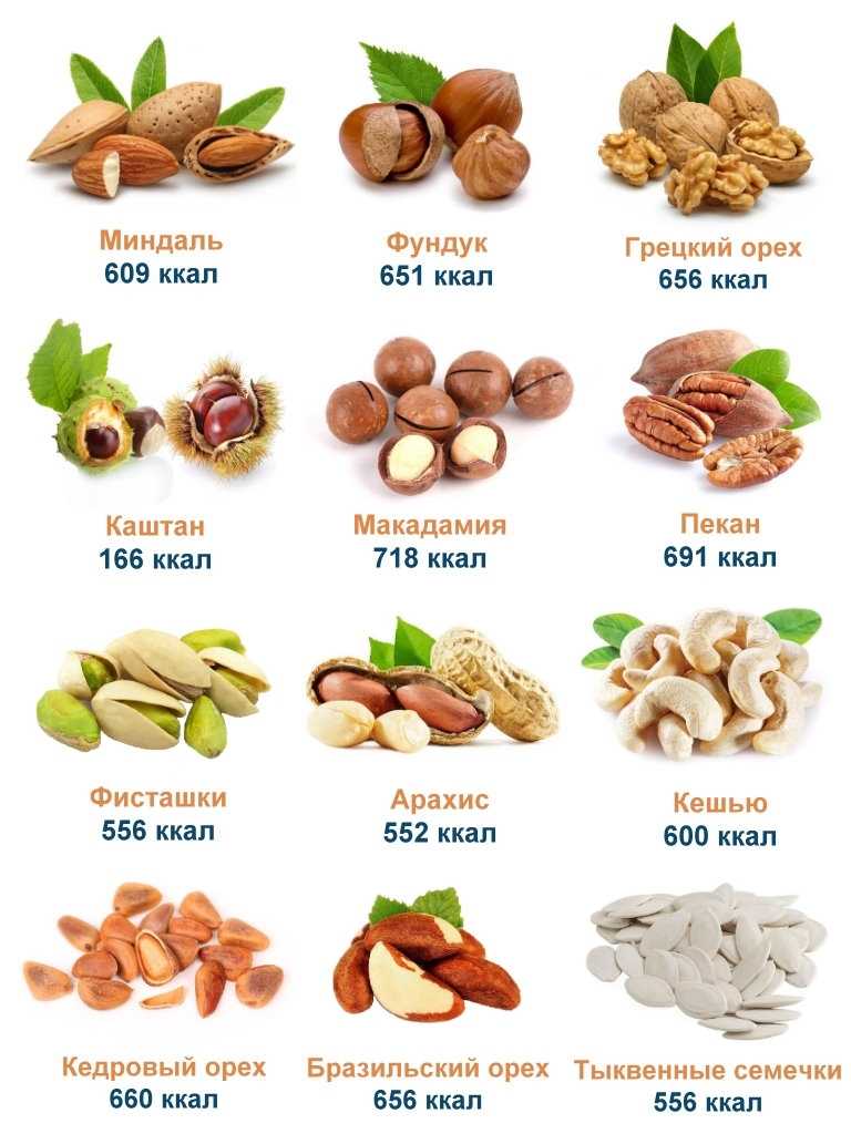 Фундук: калорийность, польза и вред ореха для организма мужчин и женщин, содержание белков, жиров, углеводов