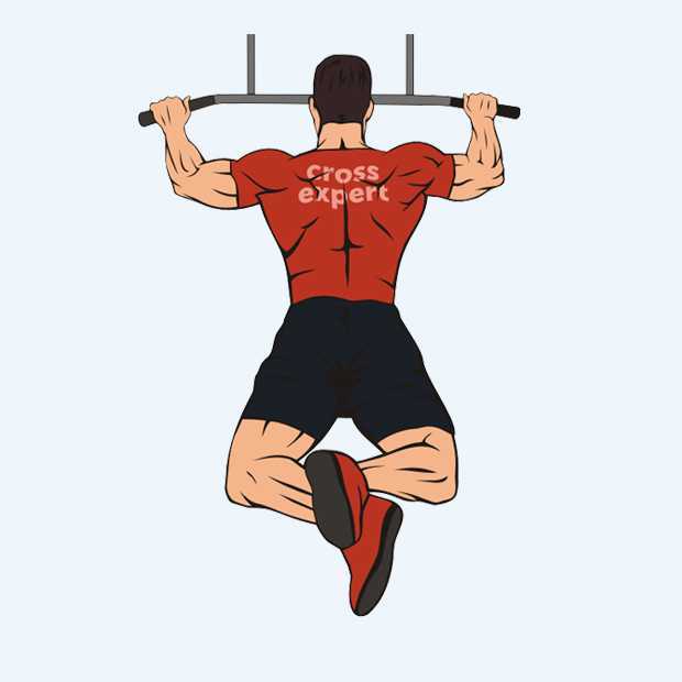 Какие мышцы работают при выполнении подтягиваний?