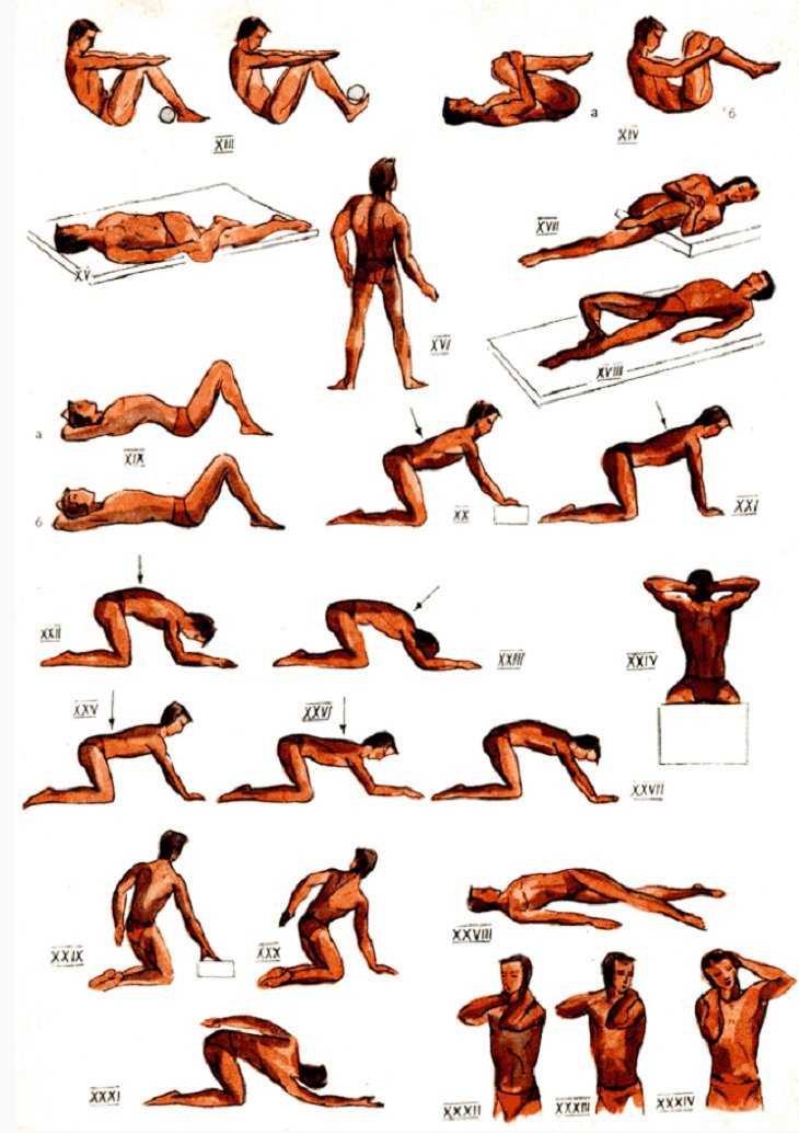 Упражнения для позвоночника в домашних условиях: лечебная гимнастика по методике дикуля. растяжка шеи без тренажеров