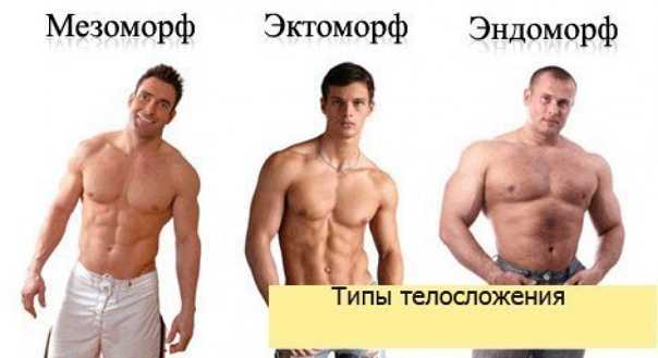 Как определить типы телосложения мужчин и женщин Особенности и признаки эндоморфного, эктоморфного мезоморфного и смешанного типов фигуры