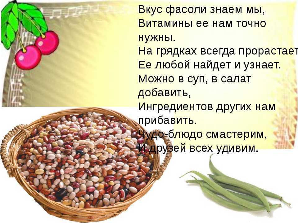 Зерновые бобовые культуры. виды и полезные свойства.