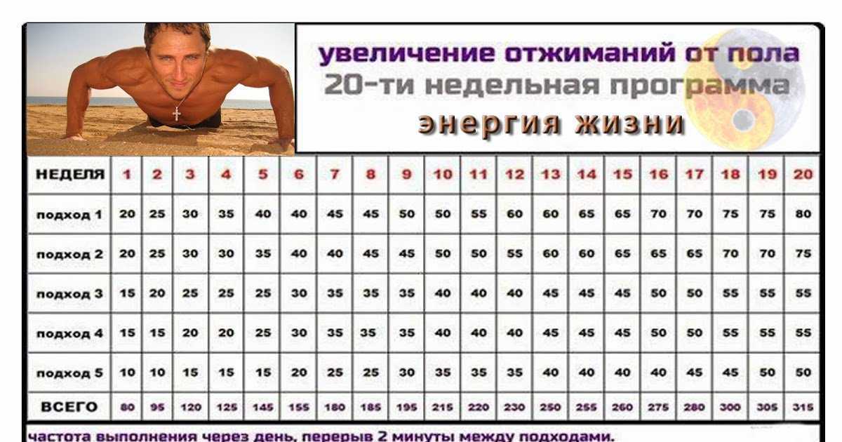 Тренировочный комплекс упражнений с гантелями для того, чтобы накачать бицепсы | rulebody.ru — правила тела