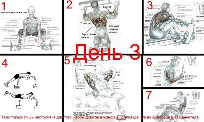 Как накачать косые мышцы живота: лучшие упражнения для мужчин и женщин