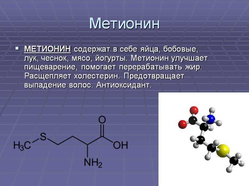 Продукты богатые метионином сокращают продолжительность жизни | dolgo-jv.ru
