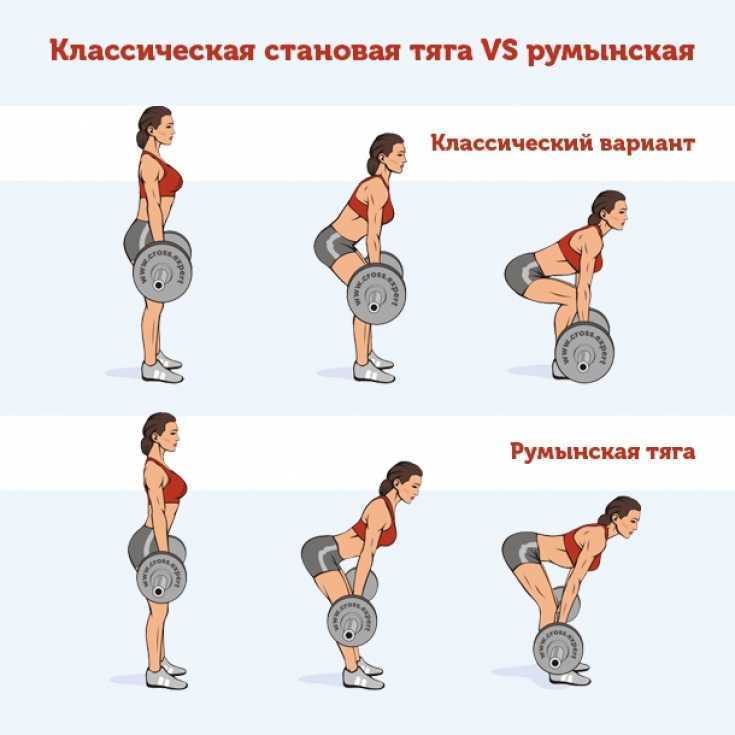 Упражнения со штангой: виды и техника выполнения - tony.ru