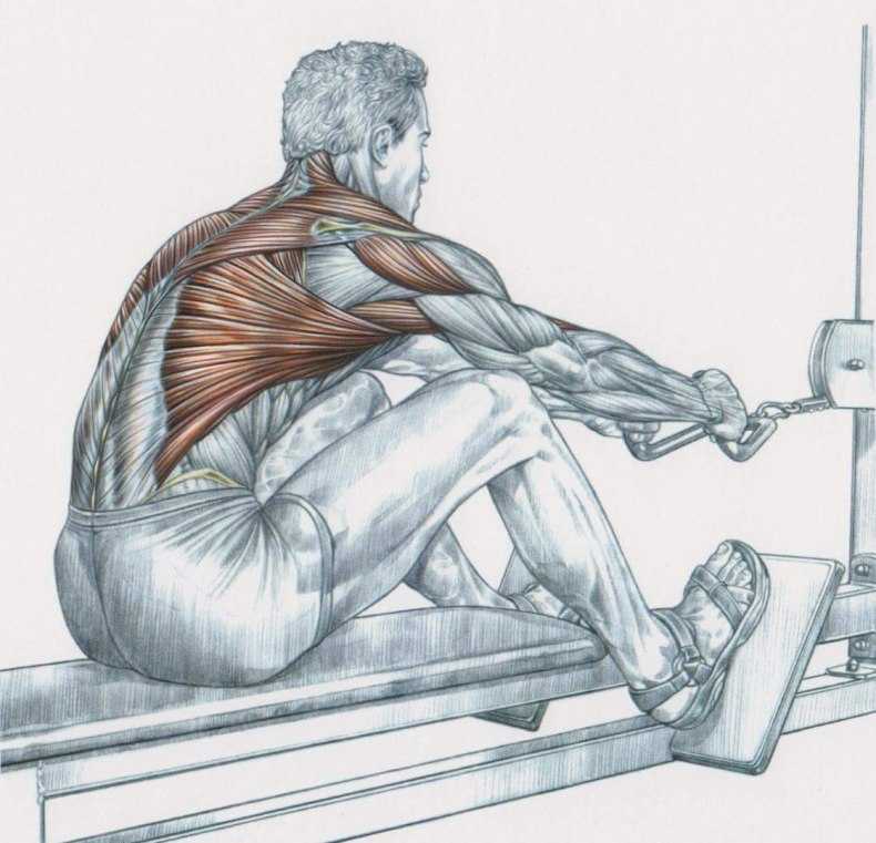 Как прокачать крылья спины - упражнения на широчайшие мышцы