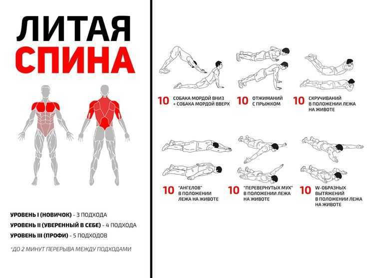 Обзор эффективных упражнений для рук с гантелями для мужчин и женщин