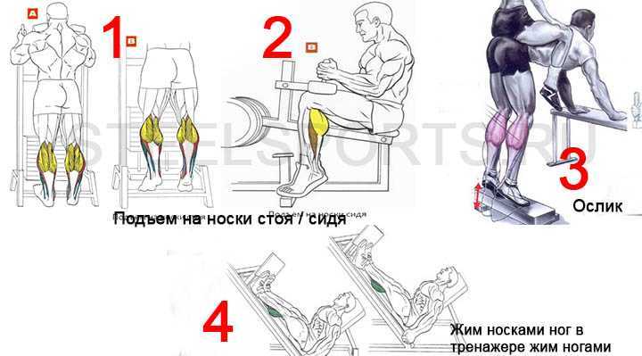 Упражнения для женщин на ноги (икроножные мышцы): делаем красивые икры в домашних условиях