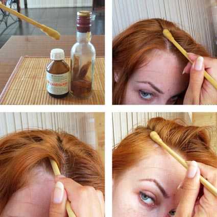 Кора дуба для волос - отвар коры дуба для ополаскивания волос против выпадения - как заваривать отвар