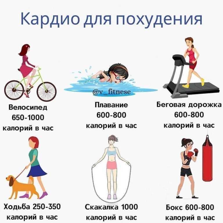 Сколько сжигается калорий при ходьбе: калькулятор | poudre.ru