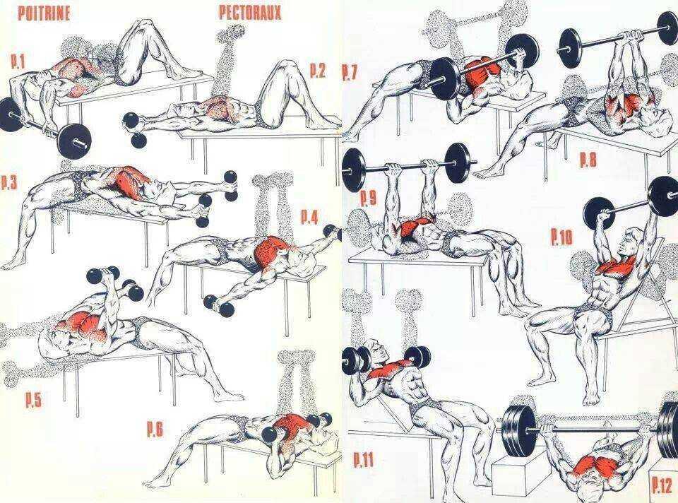 Как накачать грудные мышцы в домашних условиях? лучшие упражнения для мужчин